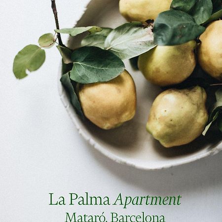 Apartamento Atico En El Casco Antiguo 马塔罗 外观 照片